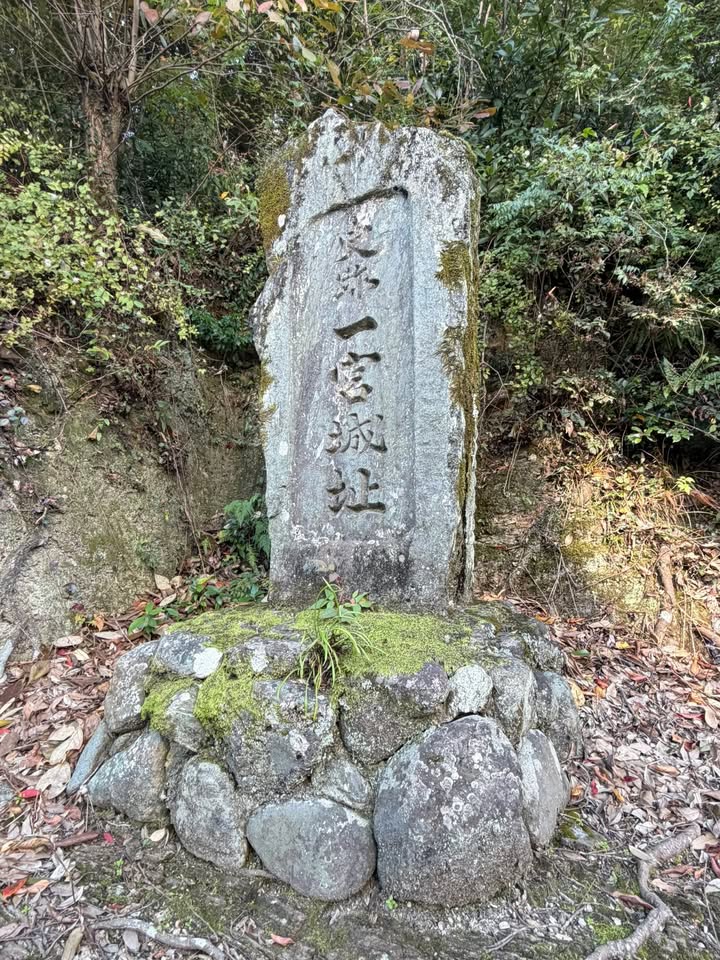 2025/11/21 #一宮城 四國徳島縣