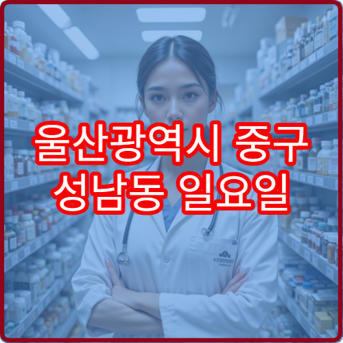 울산광역시 중구 성남동 일요일 문 여는 약국 위치 정보 위치