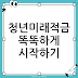 청년미래적금: 월 최대 납입액 한도 결정하기