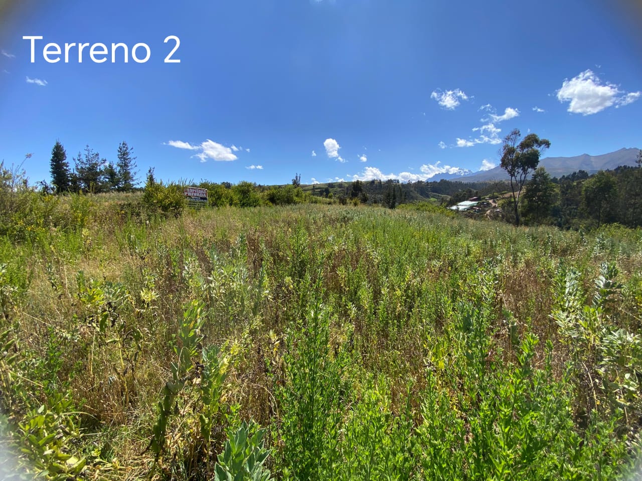 Imagen 8 de Terreno (Modal)