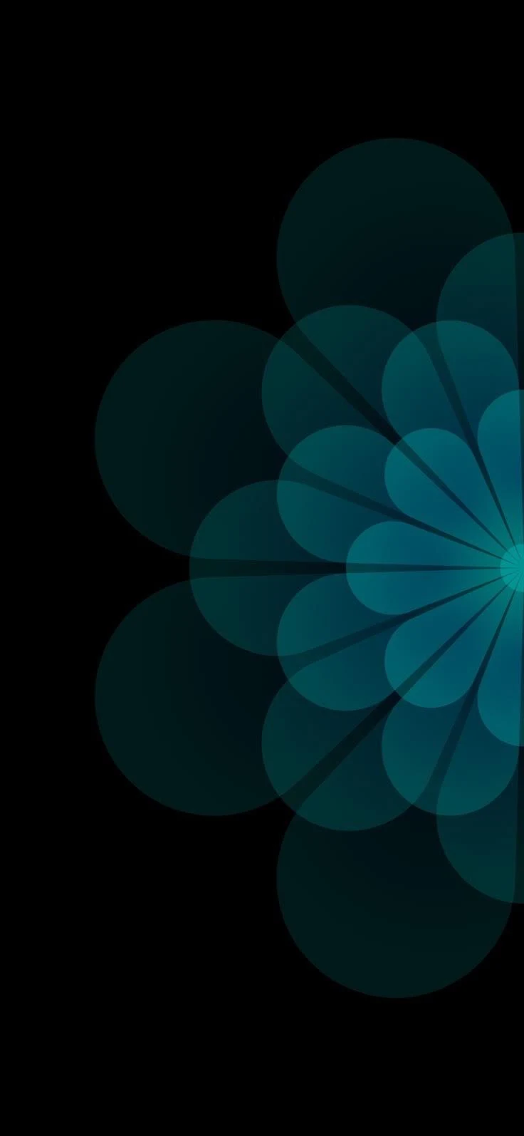 Teal Geometric Flower Design - Graphic Design iPhone Wallpaper (736x1594)