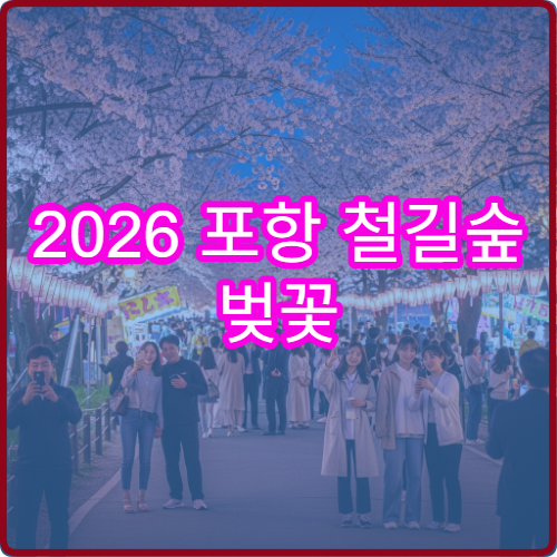 2026 포항 철길숲 벚꽃 야간 산책로 조명 켜지는 정확한 시간 안내