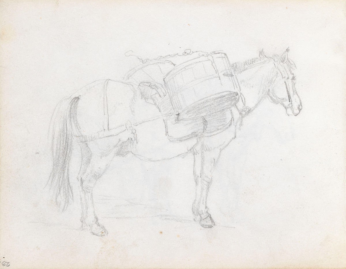 Pakkhest 1848