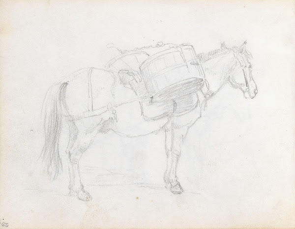 Pakkhest 1848