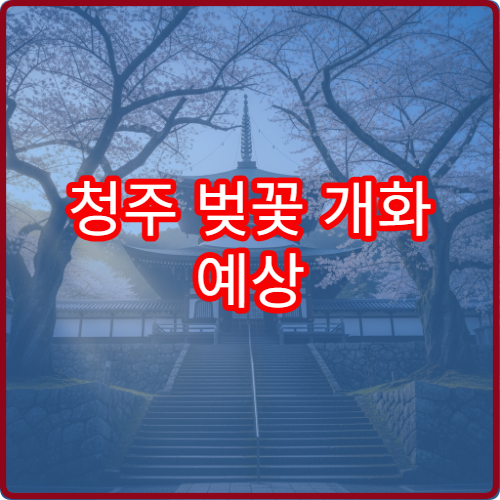 청주 벚꽃 개화 예상 무심천 벚꽃 절정 시기
