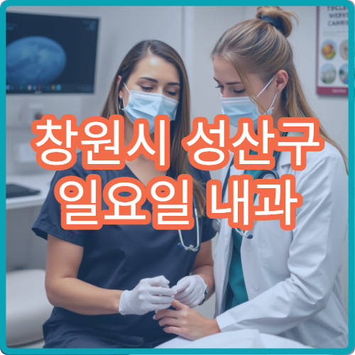 창원시 성산구 일요일 내과 진료 병원 감기·소화기질환 상담 가능