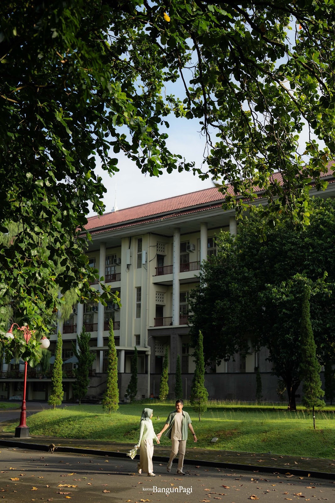 Gallery image 7