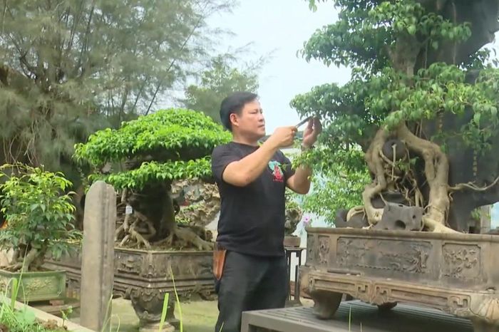 Xã Hồng Vân: Khai thác lợi thế, thực hiện mục tiêu tăng trưởng hai con số - Đài Phát thanh và truyền hình Hà Nội
