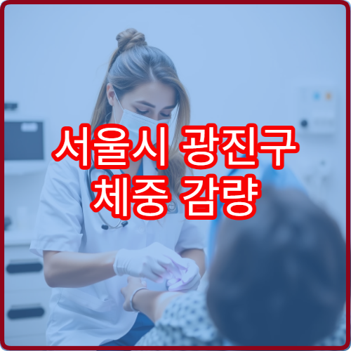 서울시 광진구 체중 감량 목적 맞춤 한약 처방 다이어트 한의원