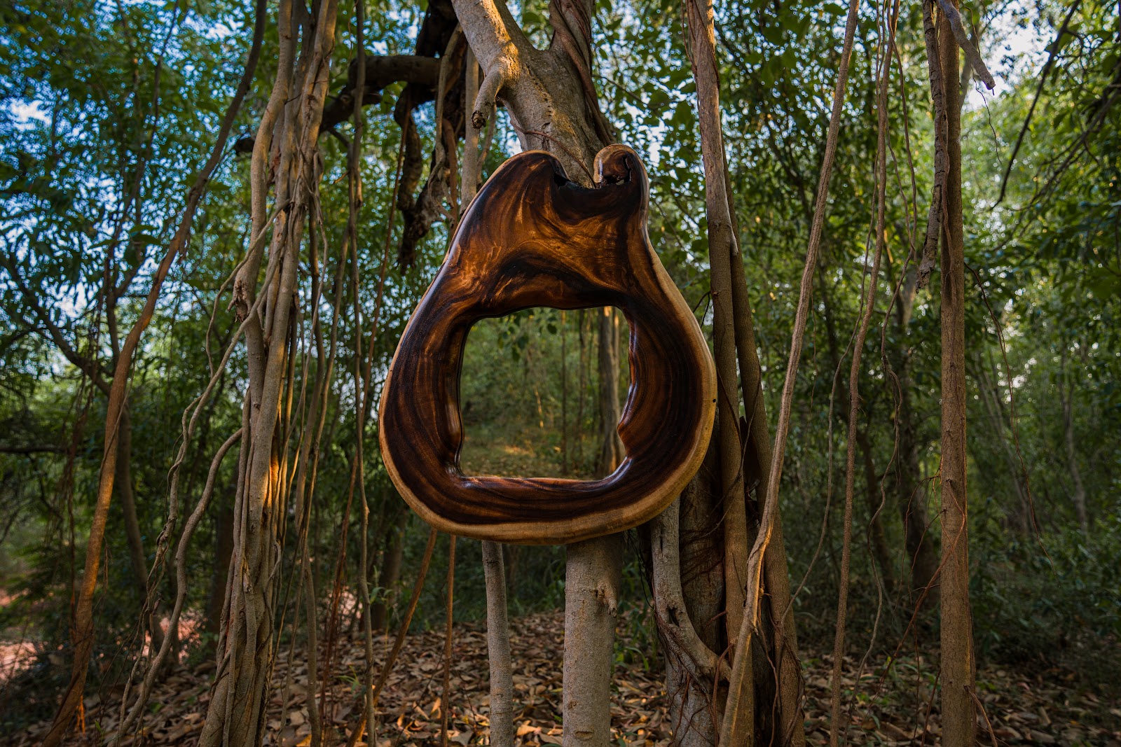 Wood, Oracle, Mirror, studio view 2