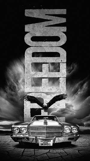 Classic Car Picture