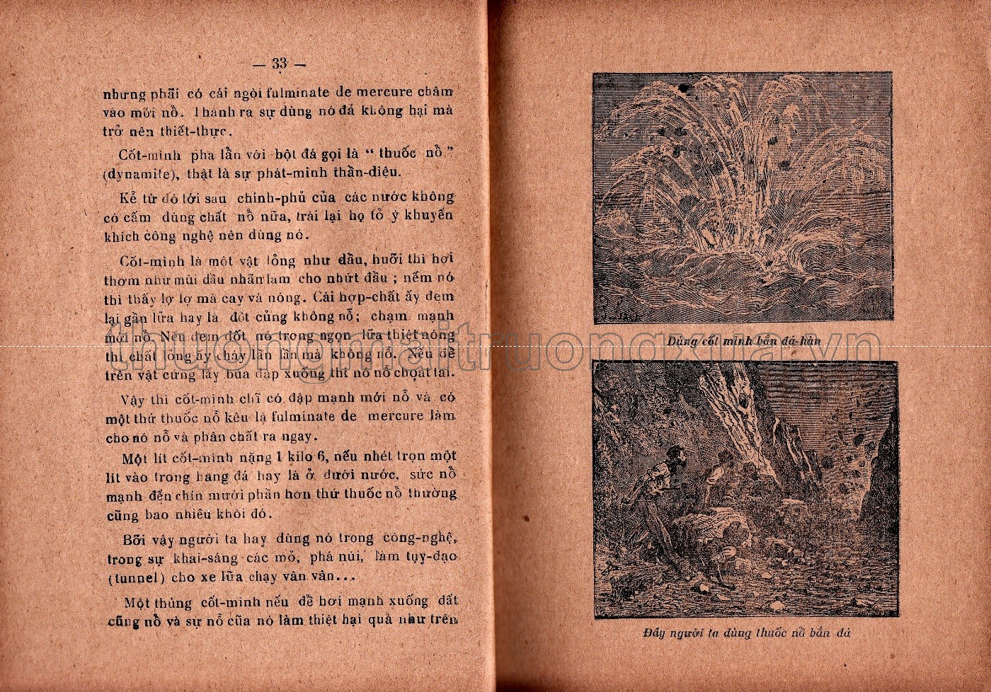 Khoa học tùng đàm (1934) - Trang 21