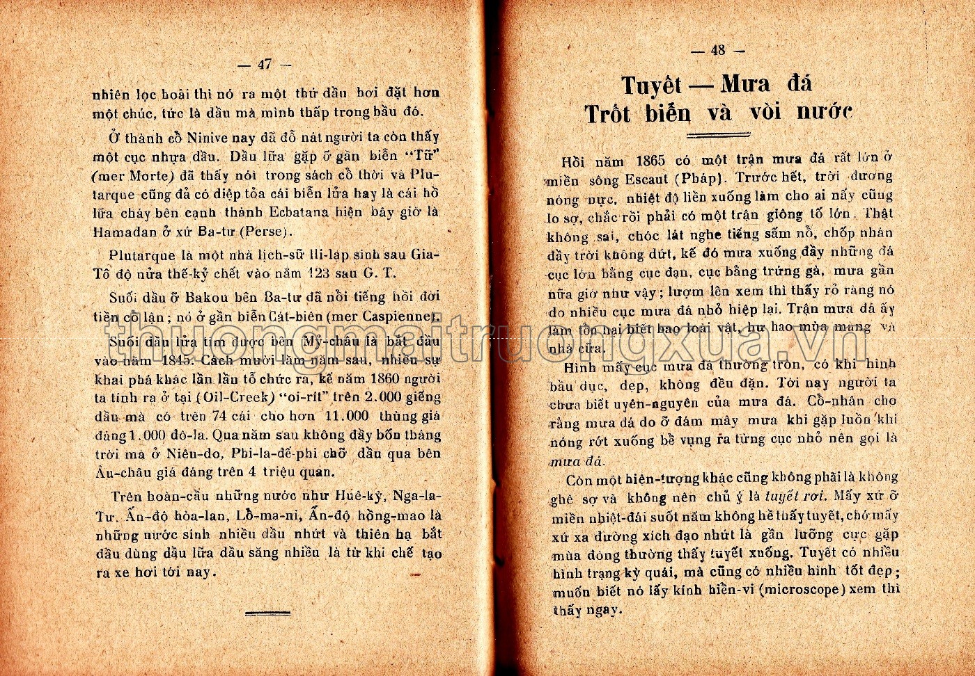 Khoa học tùng đàm (1934) - Trang 29