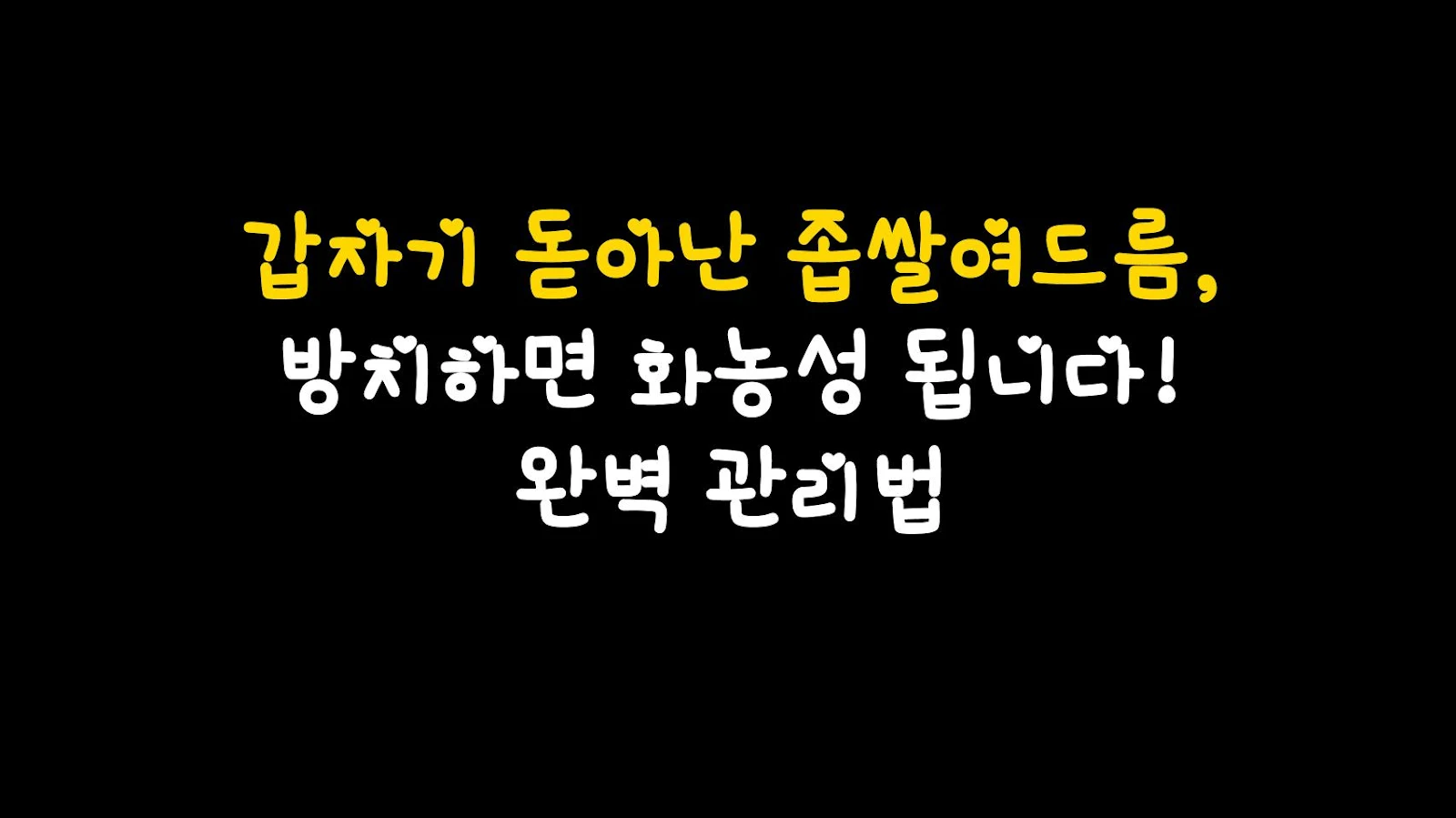 갑자기 돋아난 좁쌀여드름, 방치하면 화농성 됩니다! 완벽 관리법