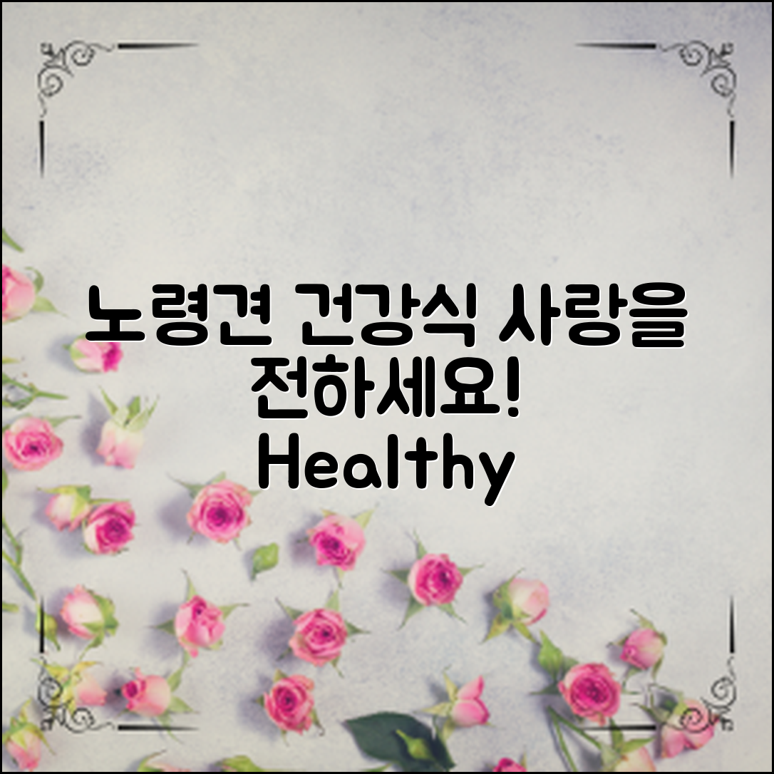 노령견 건강식 레시피로 사랑을 전하세요!