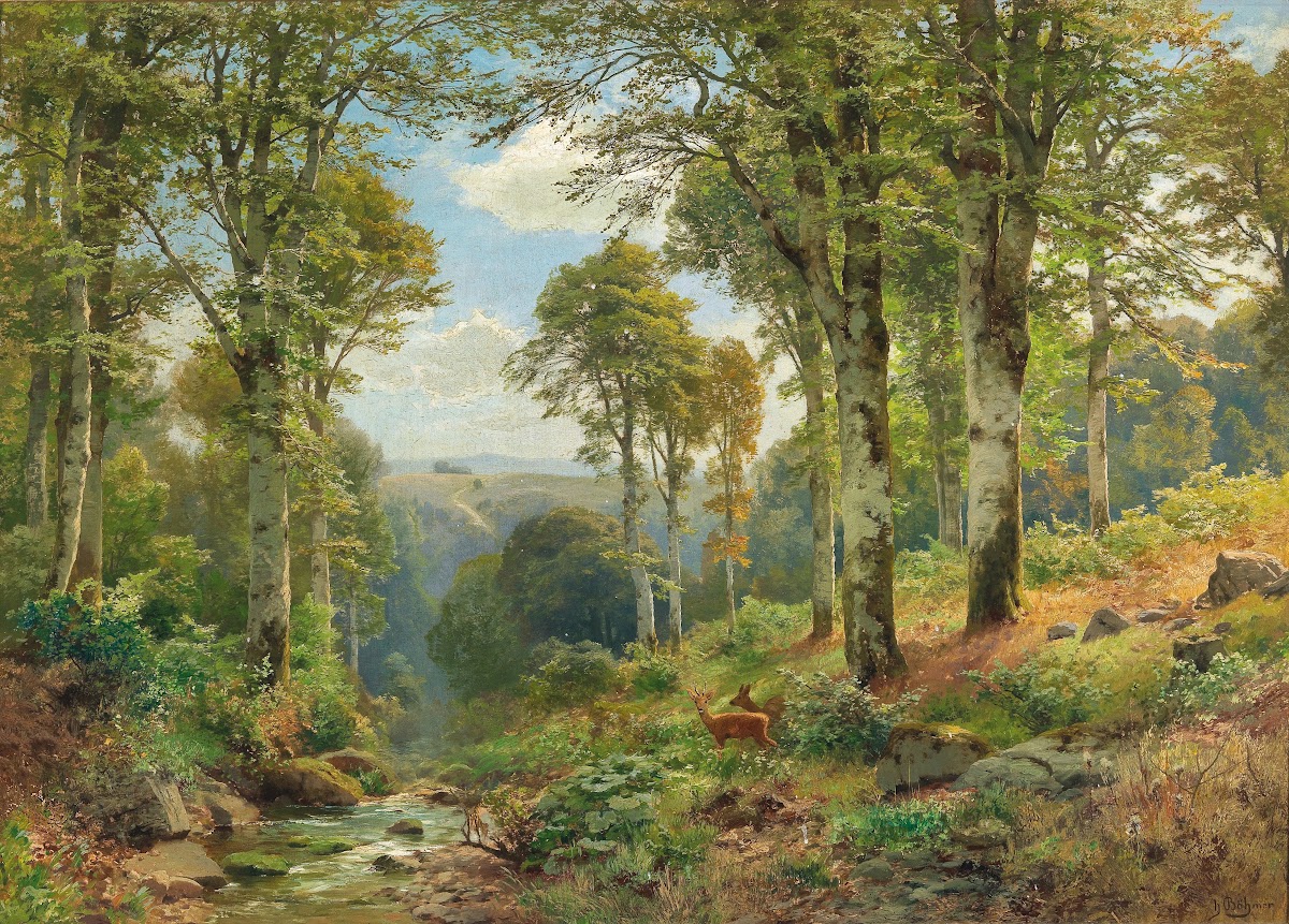 Roe Deer by a Stream