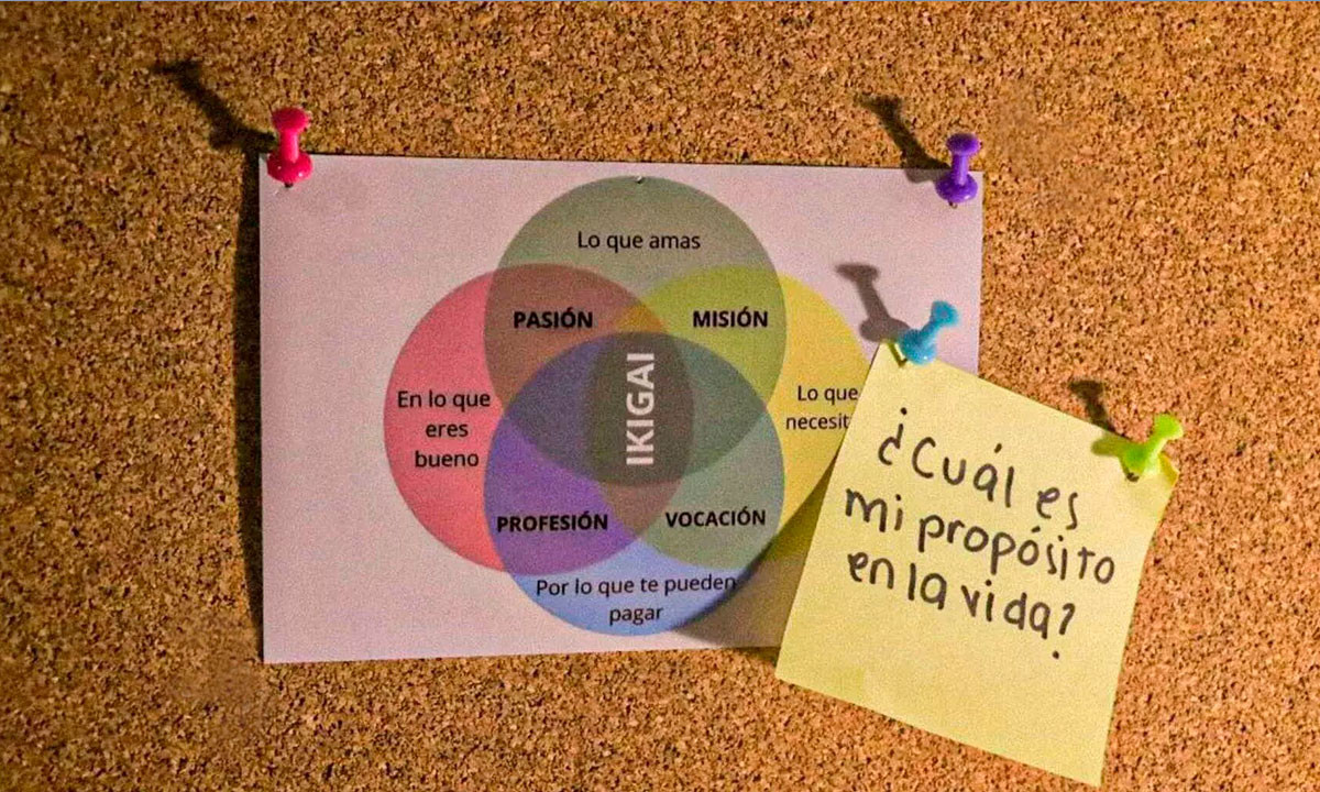La Importancia del Ikigai en el Éxito Profesional
