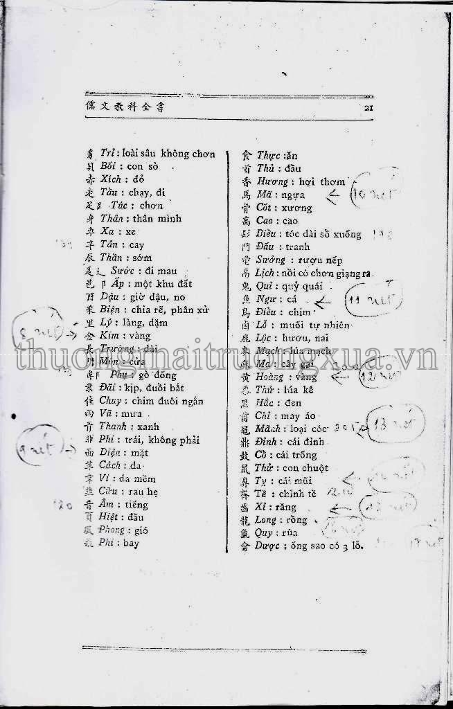 Việt văn tân tập lớp 4 (1973) - Trang 20