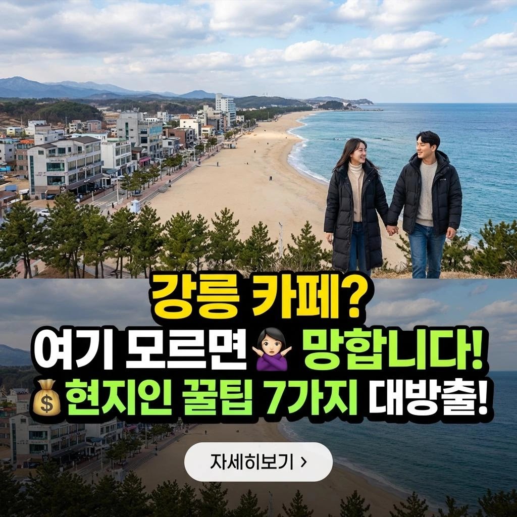 강릉 카페투어 7곳: 주차부터 메뉴까지 완벽 가이드 (2026년)