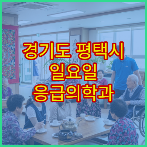 경기도 평택시 일요일 응급의학과 진료 주말 응급환자 진료 가능