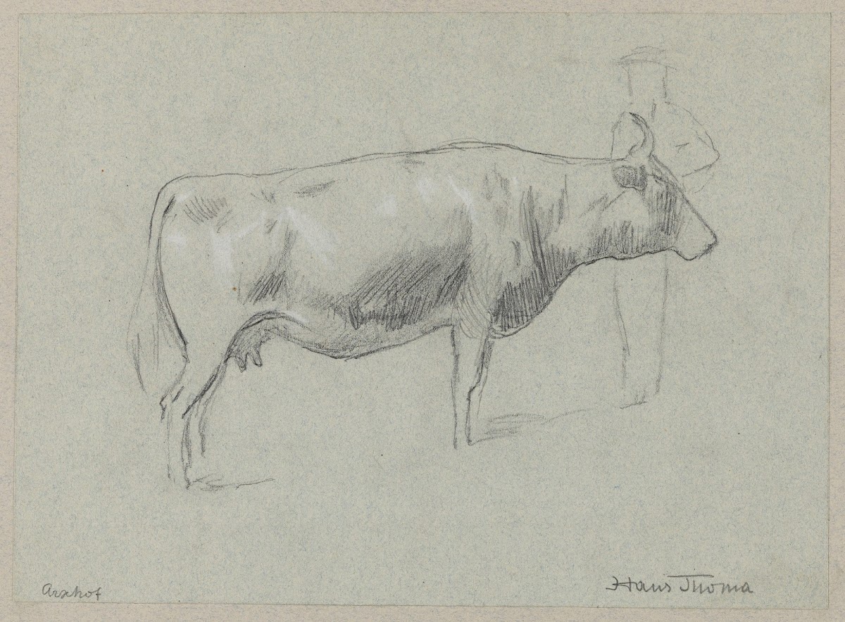 Study of a Cow 1895