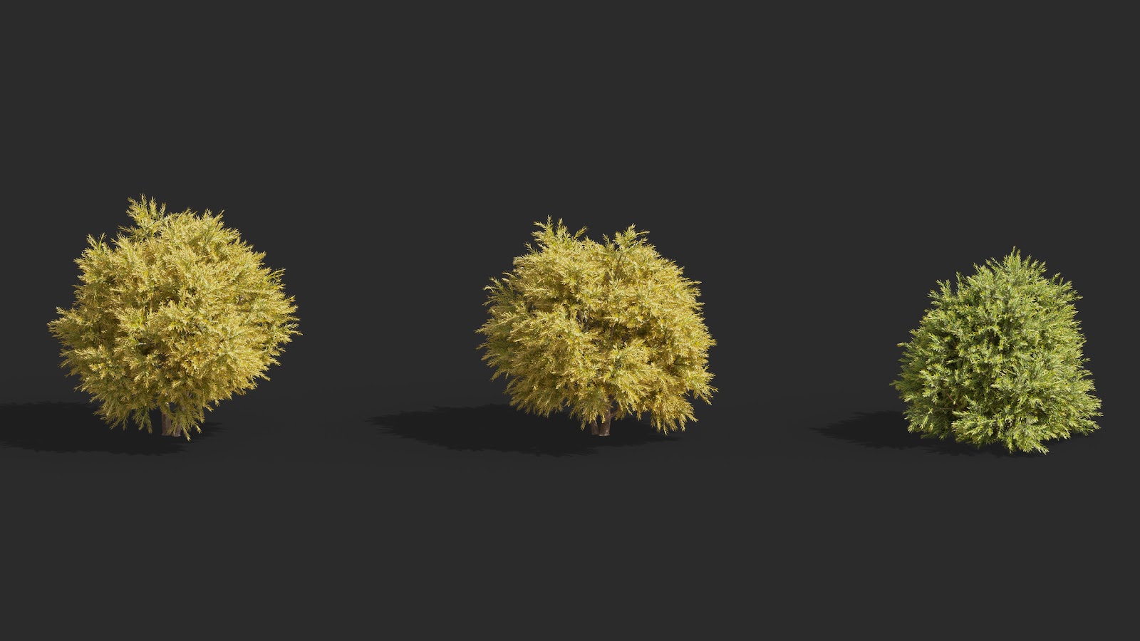 Maxtree - Plant Models Vol.63