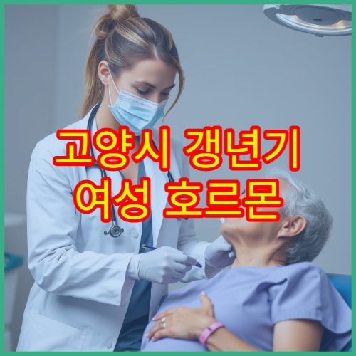 고양시 갱년기 여성 호르몬 변화 검사와 증상 완화 치료 가능한 병원 안내