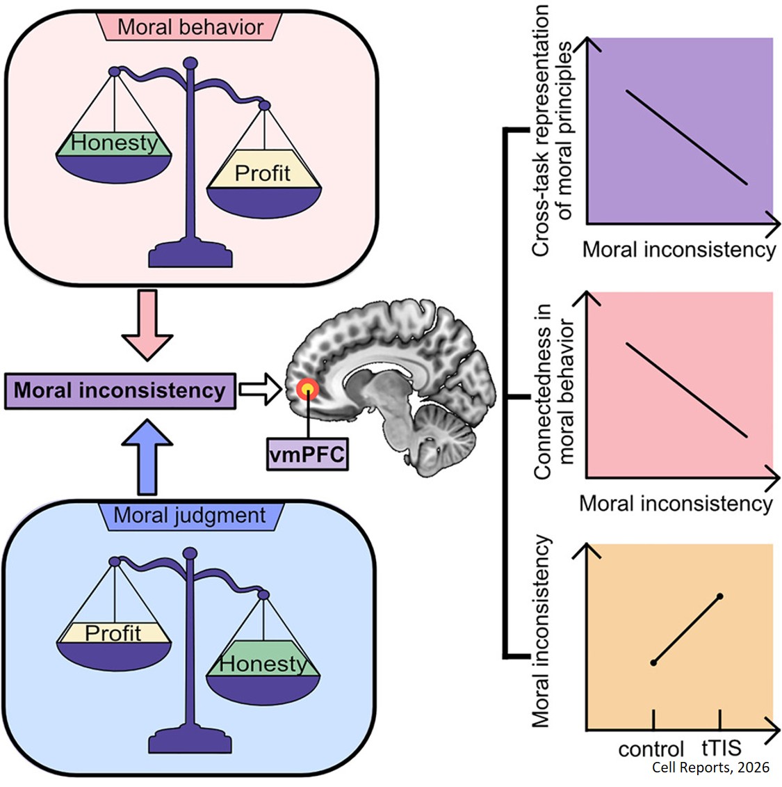 Moral inconsistency is based on the vmPFC’s insufficient representation across tasks and connectedness
