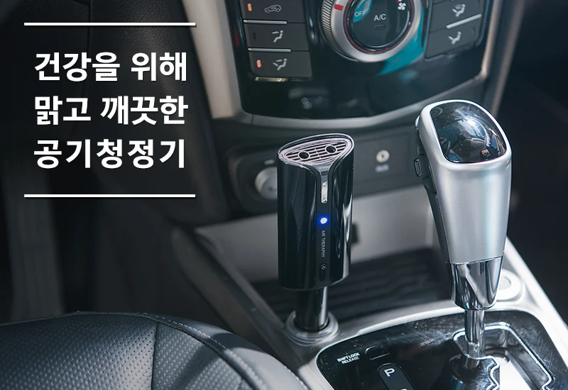 섹션 3 이미지