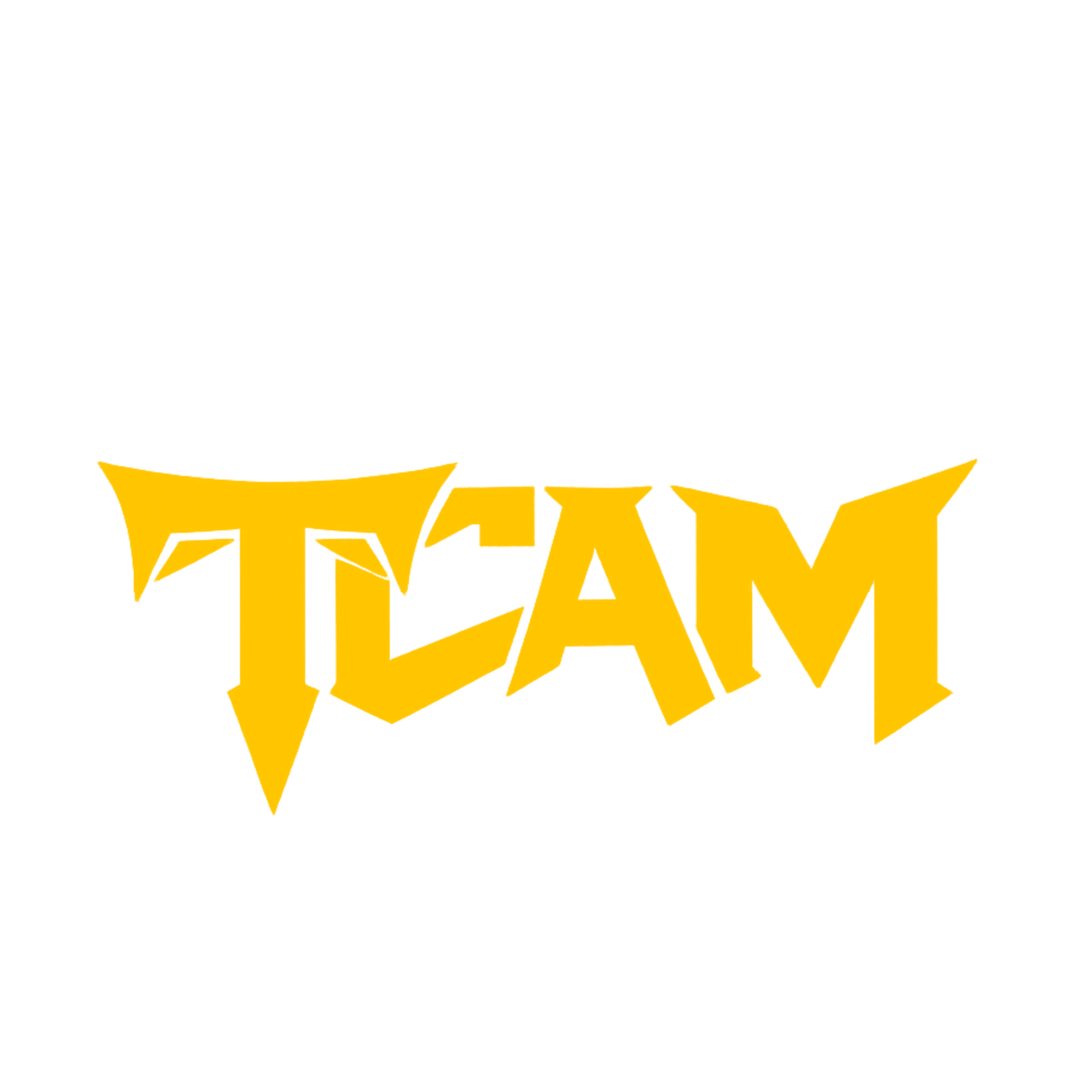 TCAM Logo