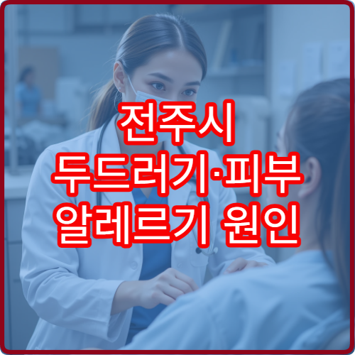 전주시 두드러기·피부 알레르기 원인 분석 치료 병원 정보