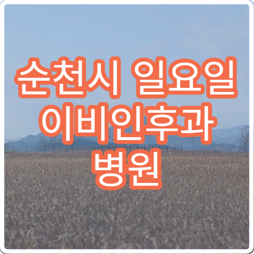 순천시 일요일 이비인후과 병원 – 편도염, 중이염, 코막힘, 인후통 진료 가능