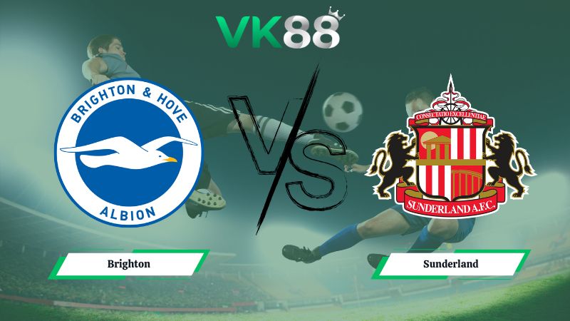 soi kèo Brighton vs Sunderland 20h00 ngày 20/12/2025