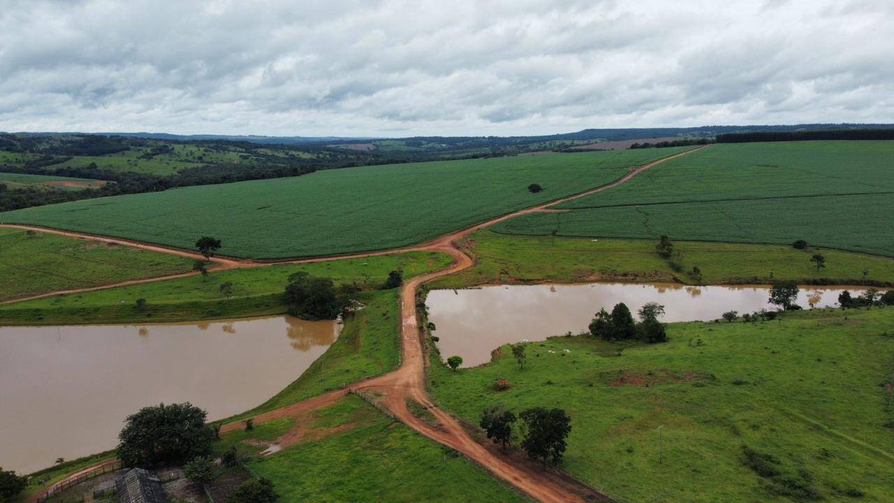 Fazenda no Município de Bela Vista - GO 2