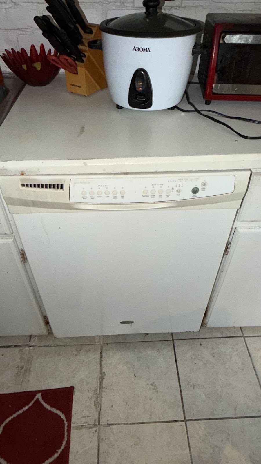 Copy of IMG_2026-03-13_14-24-49_971.jpg