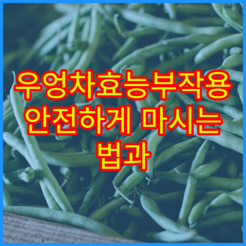 우엉차효능부작용 안전하게 마시는 법과 매일 섭취 타이밍