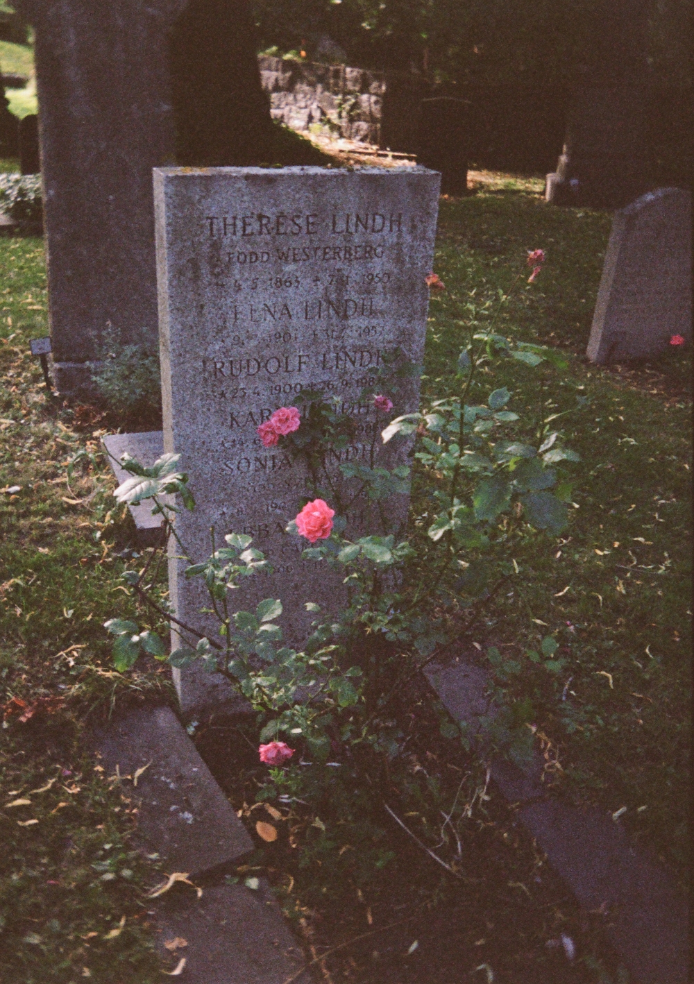 Salem