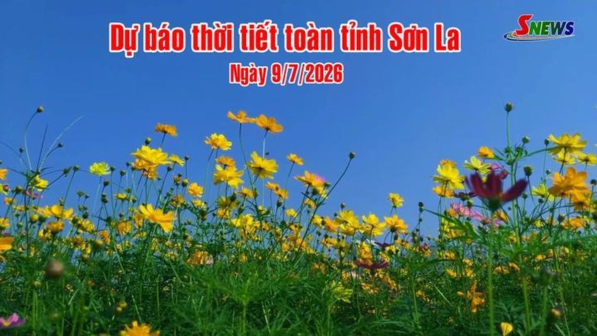 Dự báo thời tiết toàn tỉnh Sơn La ngày 9/7/2026 - Báo Sơn La