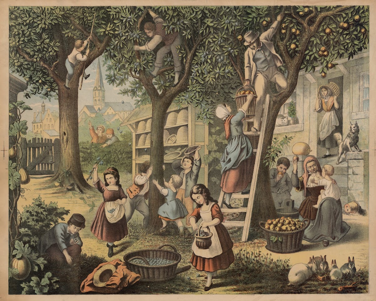The Garden 1888