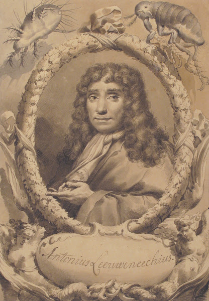 The Dutch Microscopist Anton van Leeuwenhoek 17341802