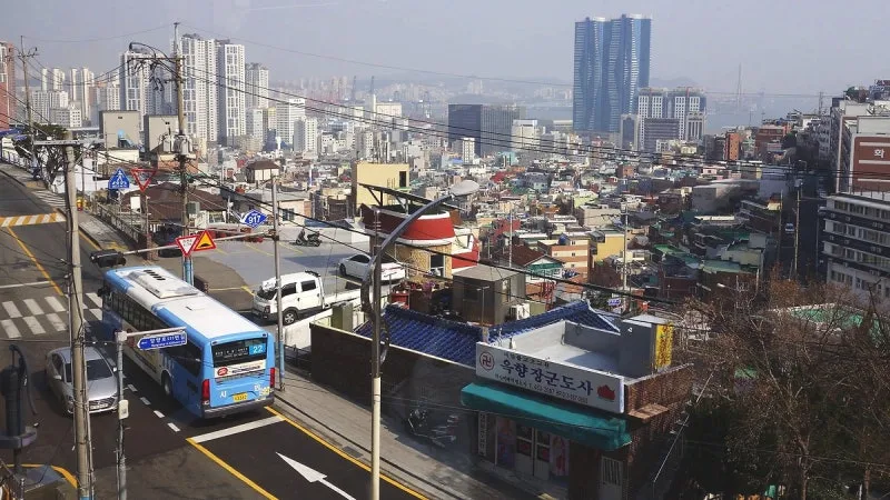 출처: 온라인 커뮤니티