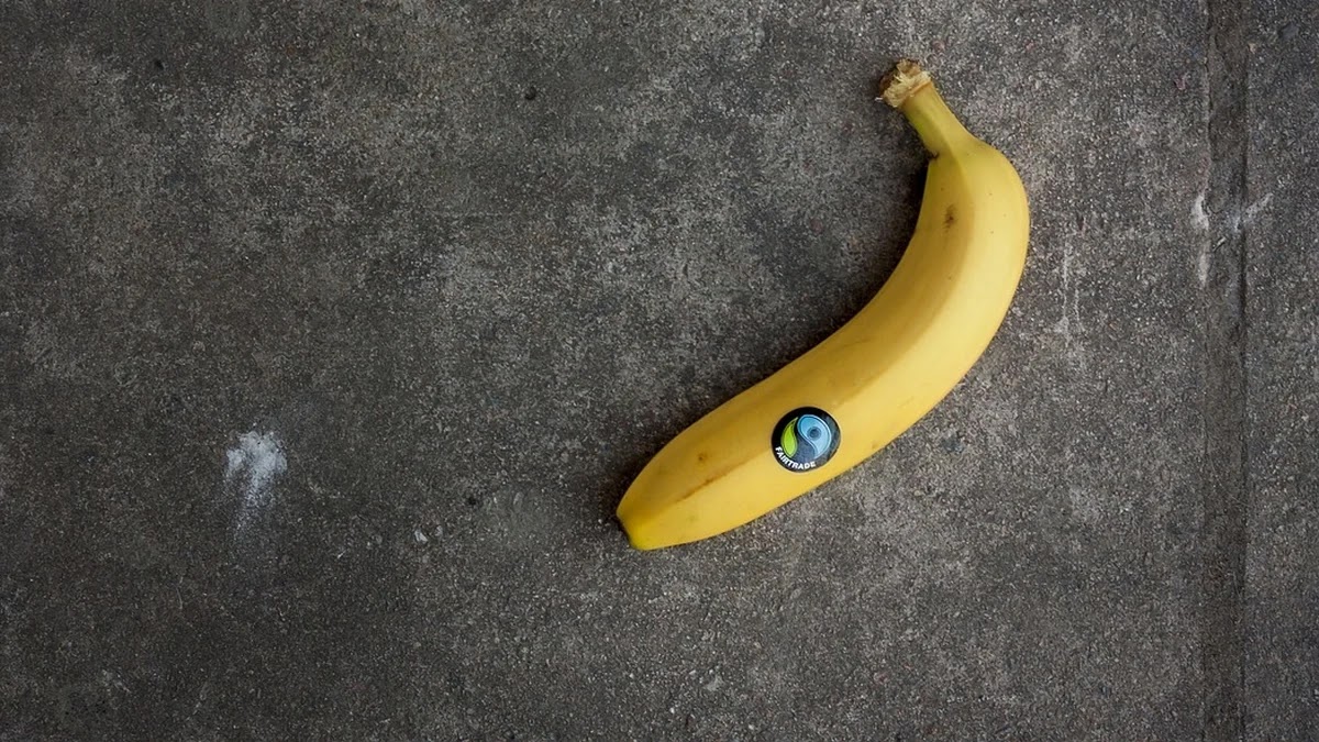 정부지원 청년 창업지원금 신청 조건과 필수 서류