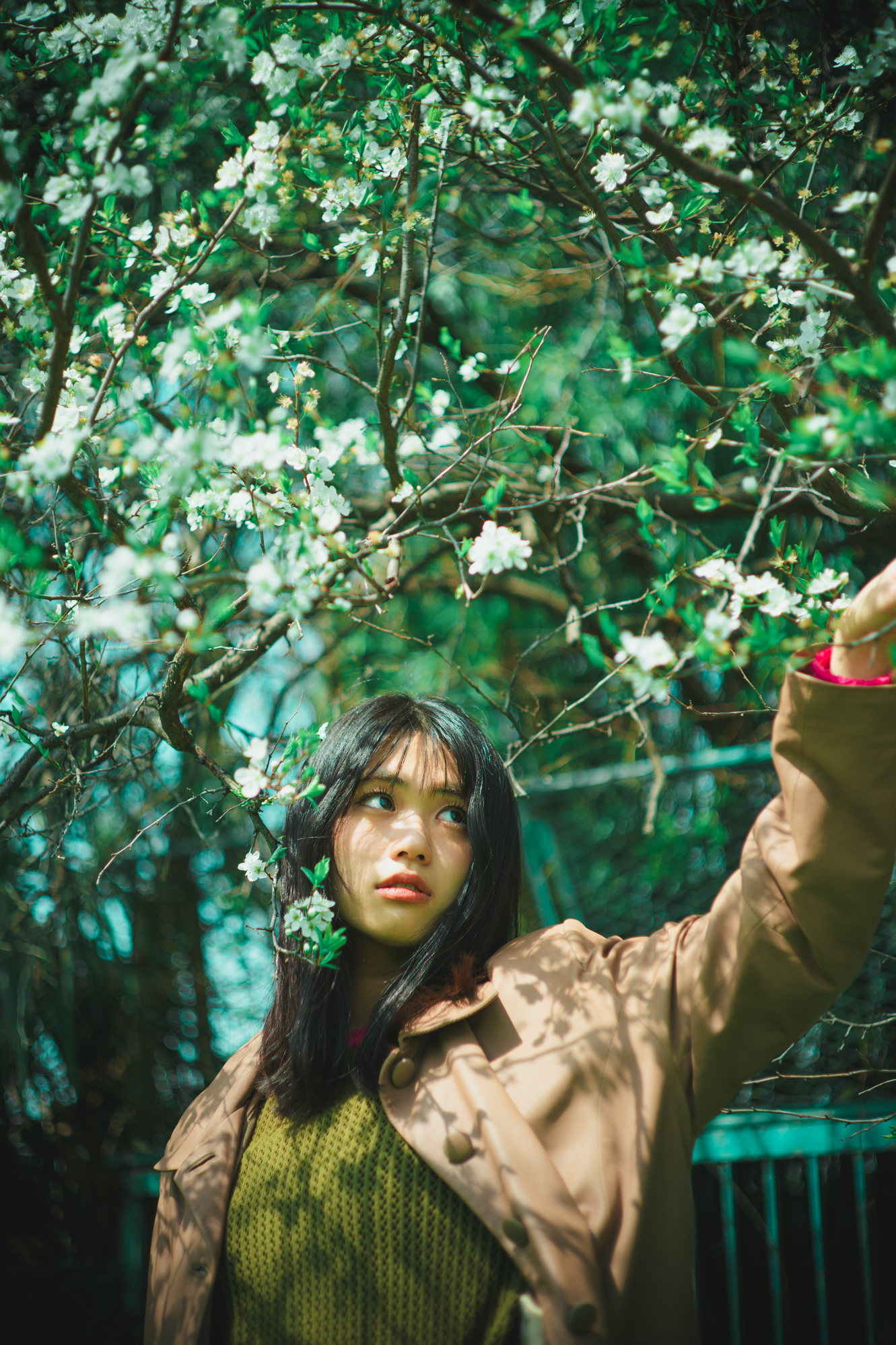 Portrait — Makino Shota