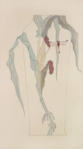 Mokugo zuanshū Pl14 1908