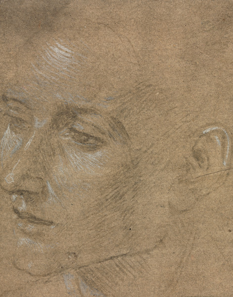 Head of a Young Man second half 1400s