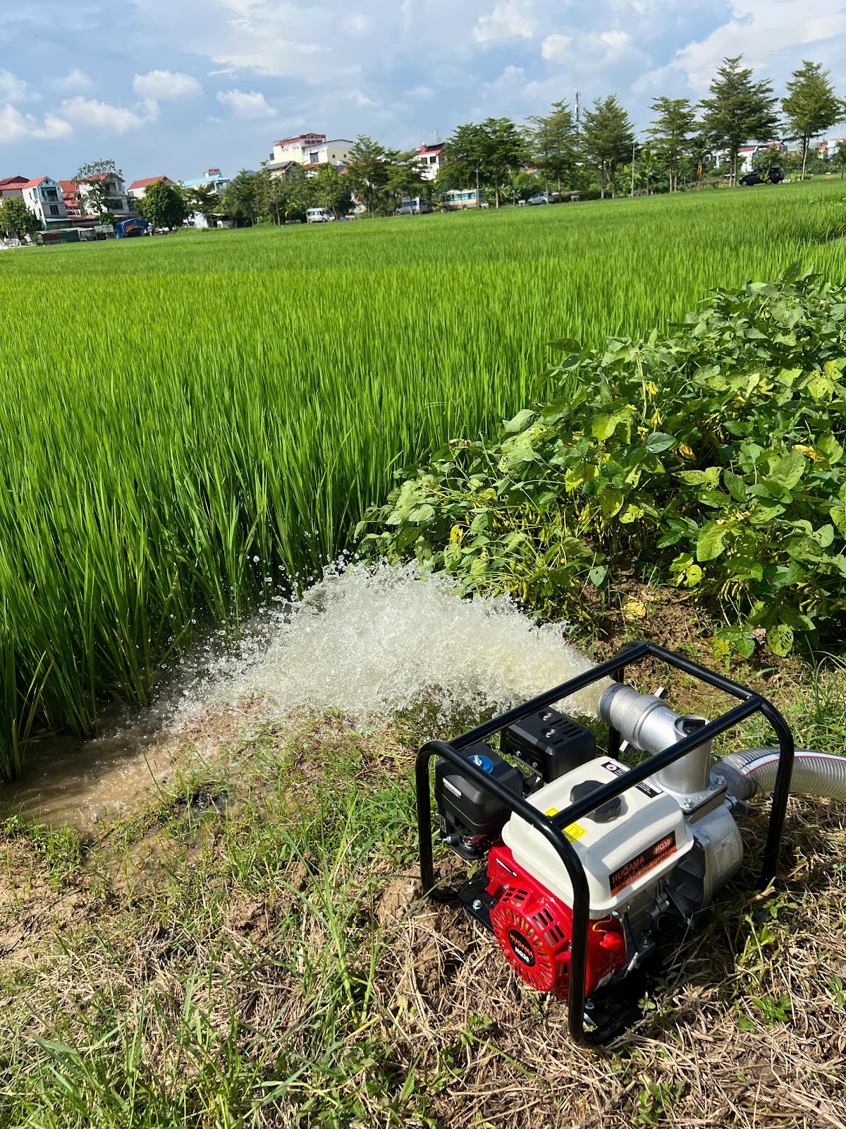 MÁY BƠM NƯỚC CHẠY XĂNG 2.5HP Màu xanh thumbnail 3