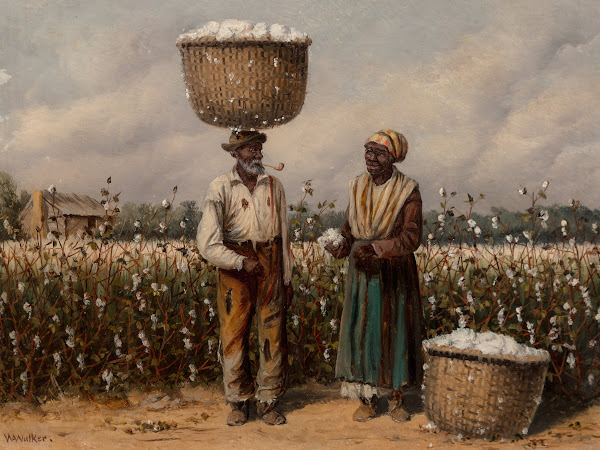 Field
