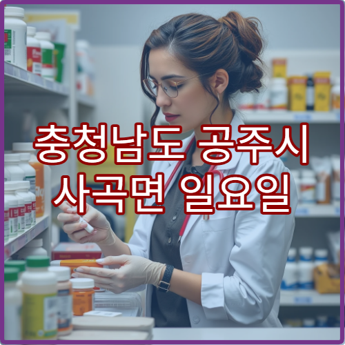 충청남도 공주시 사곡면 일요일 당직약국 휴일 운영 정보 안내