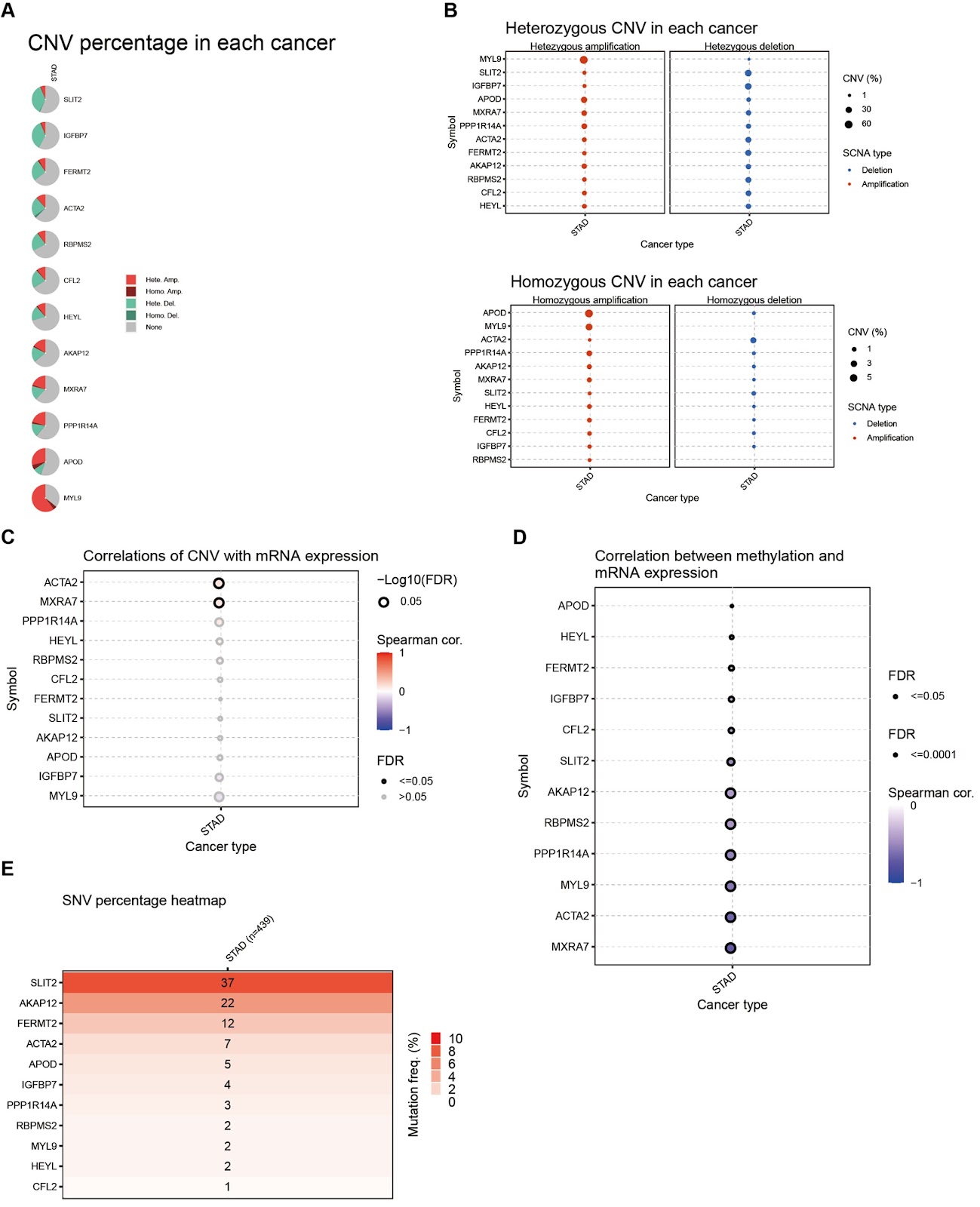 O-GlcNAcylation-related genes mediate tumor microenvironment characteristics and prediction of immunotherapy response in gastric cancer