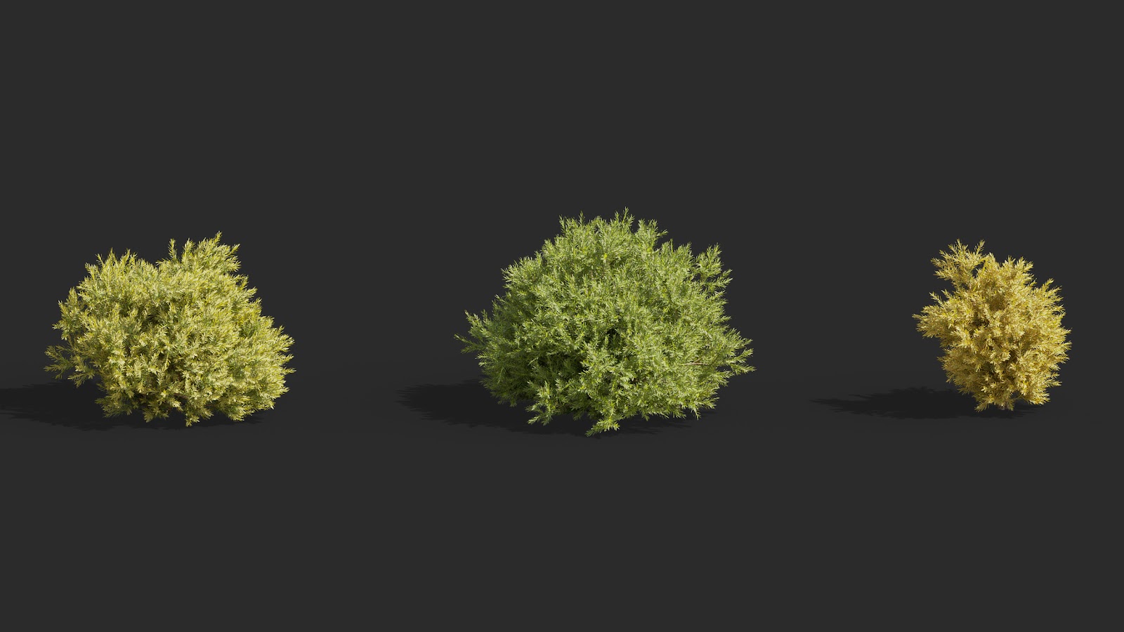 Maxtree - Plant Models Vol.63
